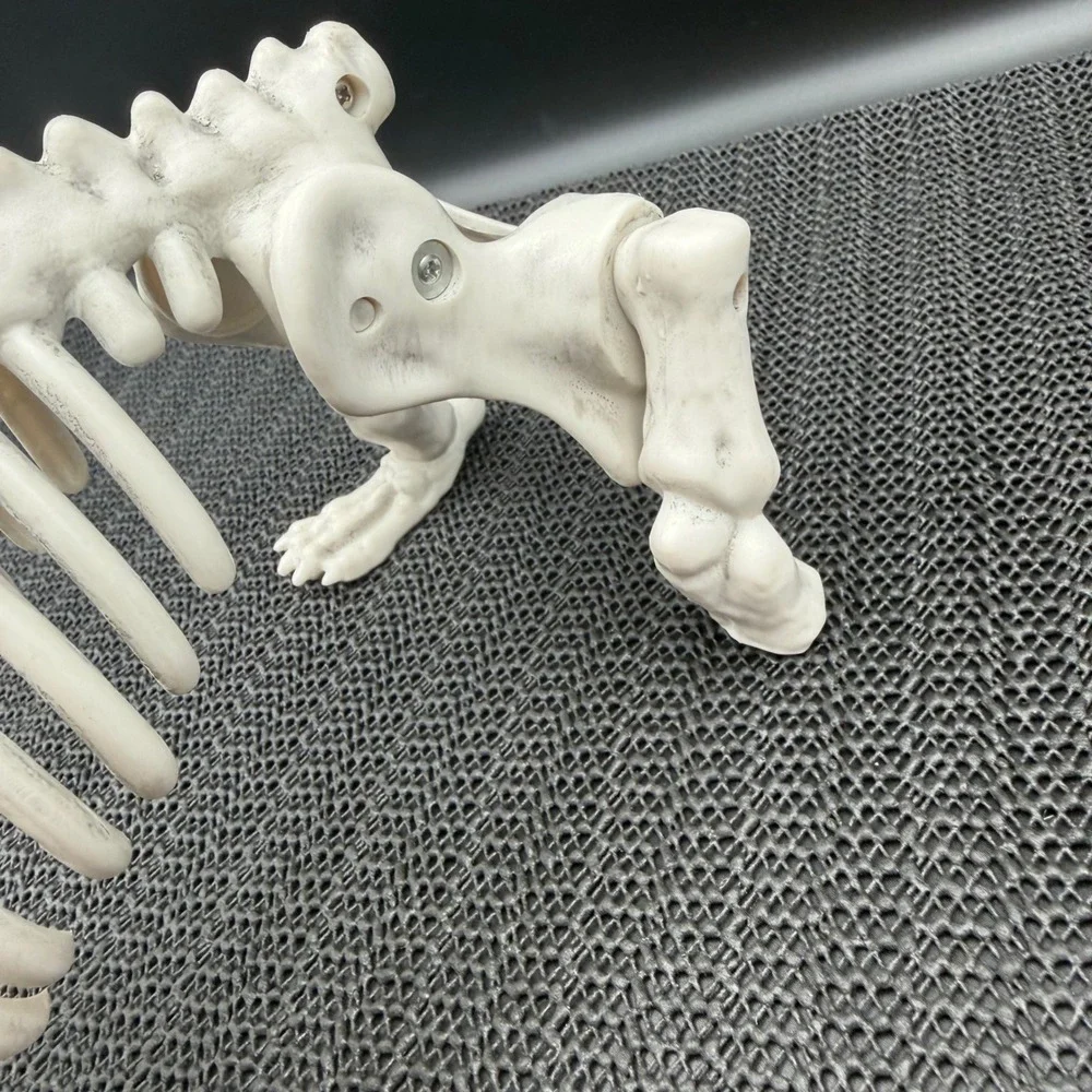 Hyde & EEK Halloween Dachshund Skeleton Dog Prop Indoor Outdoor Missing Tail
